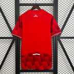 Camisola Lille Principal 2025/26