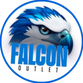 FalconOutlet - Início