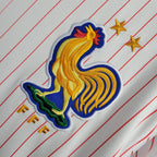 Camisola França Alternativa 2024