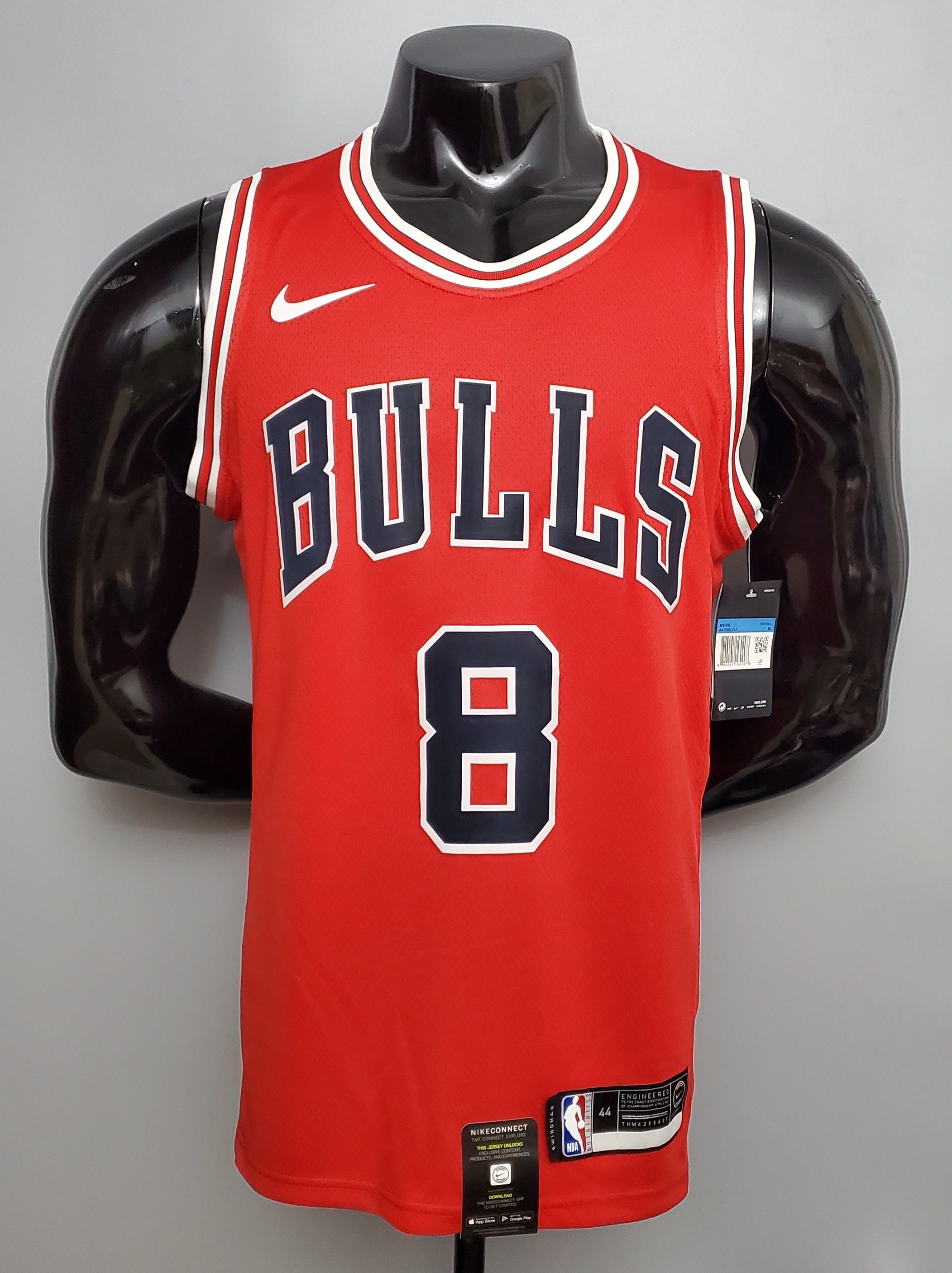 Chicago Bulls