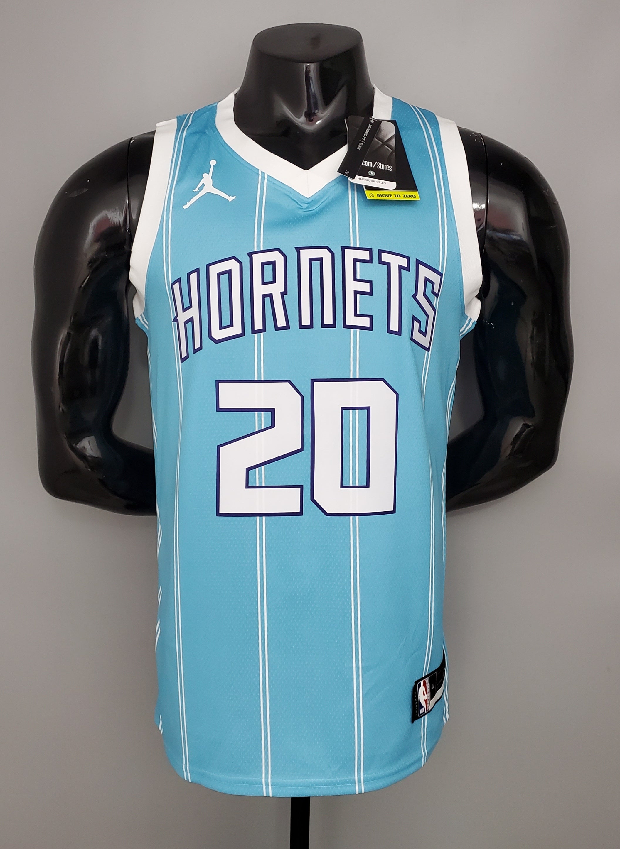 Charlotte Hornets