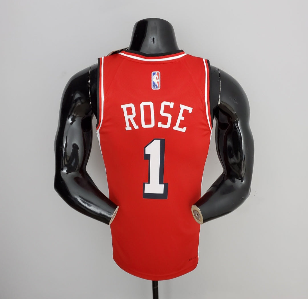 Chicago Bulls