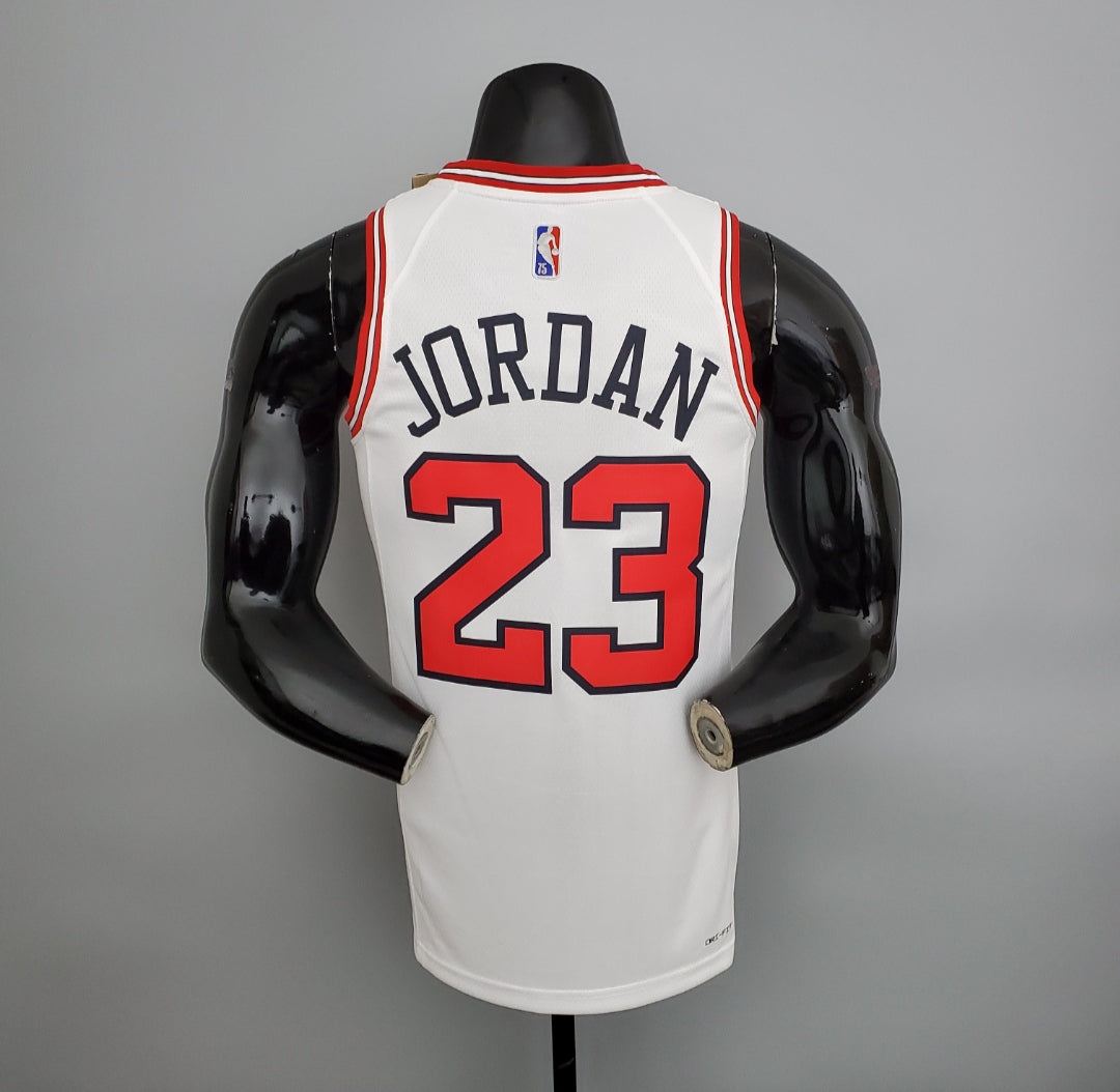 Chicago Bulls